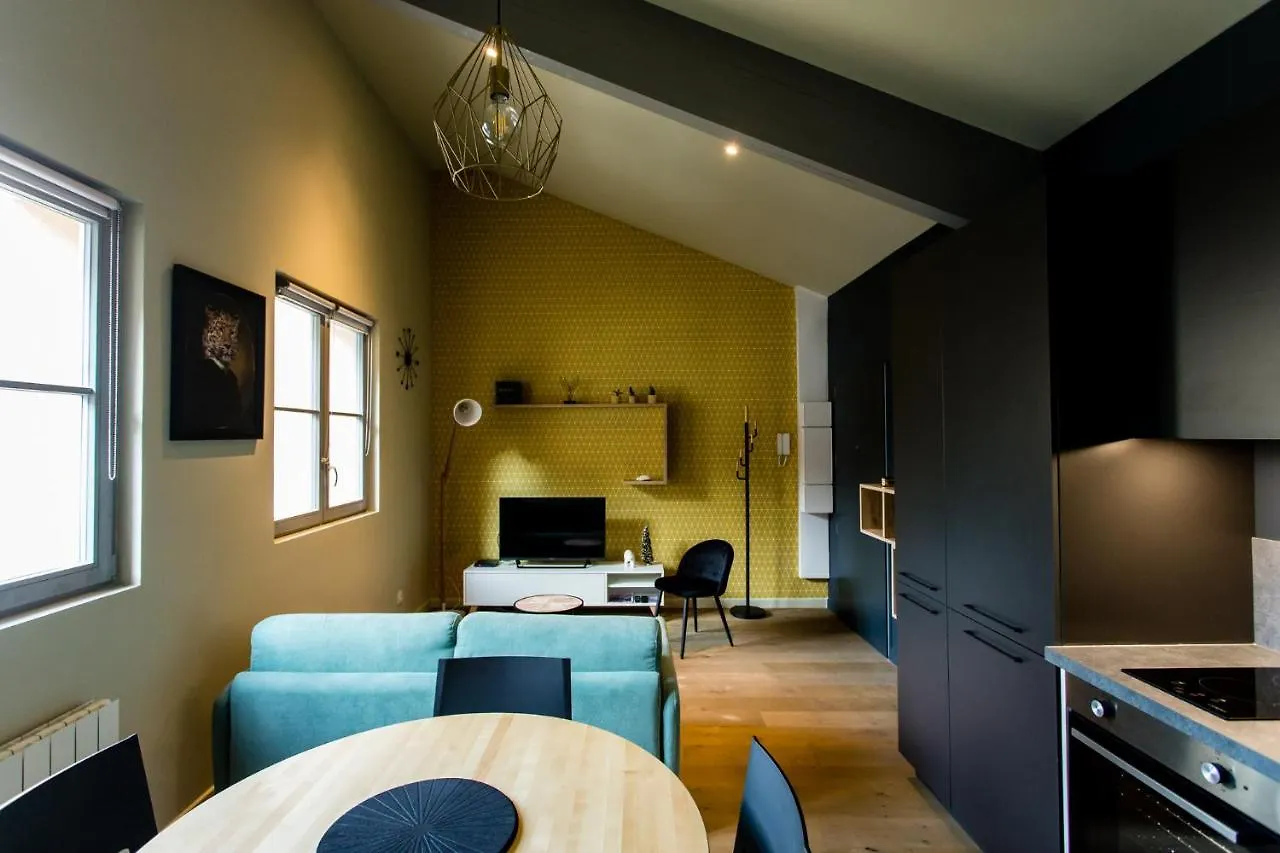 Appartement De Charme A Proximite Du Vieux Lyon 0*,  Fransa